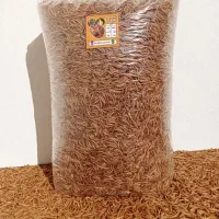 میلورم خشک  اموزش میلورم