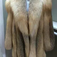 لباس گرم ونرم|لباس|فرخ‌شهر, |دیوار