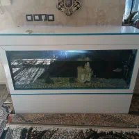 آکواریوم بزرگ