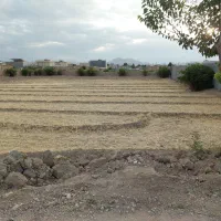 اجاره یا شراکت  110 جریب زمین ابی وباغی در شلمزار|اجارهٔ دفتر صنعتی، کشاورزی، تجاری|کیار, |دیوار