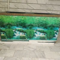 آکواریوم|ماهی|مبارکه, |دیوار