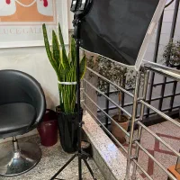 پک ۳پایه دوربین و موبایل ونور ریموتی و شاتر