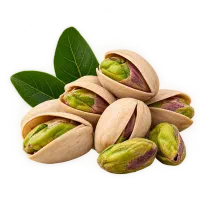 کاهش سال آوری پسته
