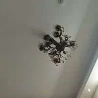 لوستر .قیمت توافقی