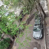 اجاره آپارتمان ۱۵۰ متری ۳ خوابه طبقه ۲ از ۲|اجارهٔ آپارتمان|تهران, دارآباد|دیوار