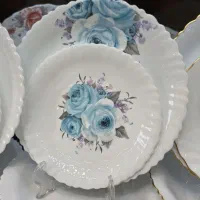 ۴طرح آرکوپال ۲۵ پارچه زیبا گلدن اوپال|ظروف سرو و پذیرایی|تهران, شوش (باغ آذری)|دیوار