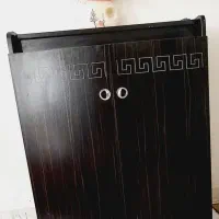 جاکفشی سالم