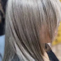 «نیاز مند مدل»