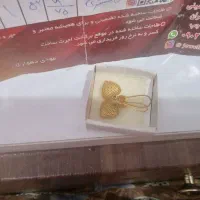 دلیل مالی
