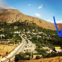 باغ-زیتون