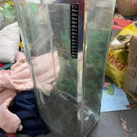 اکواریوم