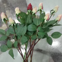 ۹ شاخه غنچه لمسی