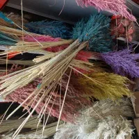 گل خشک|گل و گیاه طبیعی|فسا, |دیوار