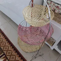 جاسیب زمینی