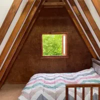 عکس-دروغ-نمی-گوید-ولی-لمس-نمی-کند