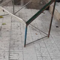 قفسه میوه و سبزی