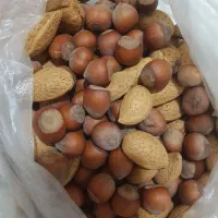 فندوق و بادام اورگانیک