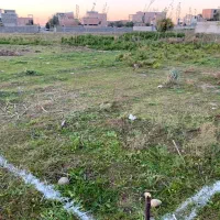 فروش زمین در بهترین لوکیشن|فروش زمین و ملک کلنگی|علیآباد کتول, |دیوار