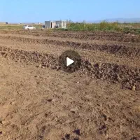 باغ