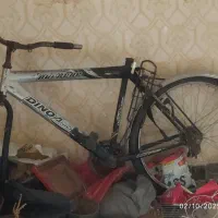 دوچرخه|دوچرخه، اسکیت، اسکوتر|شیراز, اصلاح‌نژاد|دیوار