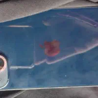 آیفون ۱۳ نرمال رنگ ابی