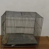 قفس|لوازم جانبی حیوانات|قزوین, |دیوار