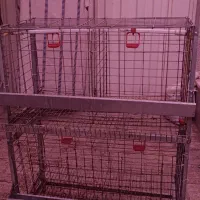 قفس مخصوص مرغ وجوجه دارای آبخوری ودونخوری|لوازم جانبی حیوانات|یزد, |دیوار