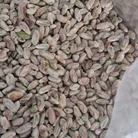 خرید مغزه پسته