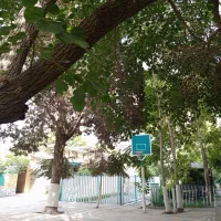 استخدام سرایدار برای مدرسه