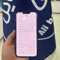 iphone 13 pro max|موبایل|قم, چهل درخت‎|دیوار