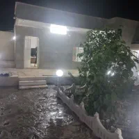 باغچه-فروشی