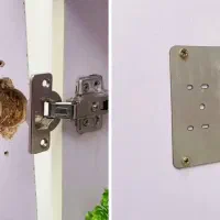 تعمیر کشو درب های کمد دیواری کابینت دلاور جاکفشی|خدمات پیشه و مهارت|کرج, فاز ۴ مهرشهر|دیوار