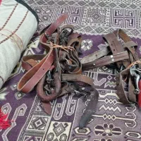 زین اسب|اسب و تجهیزات اسب‌سواری|کرمان, |دیوار