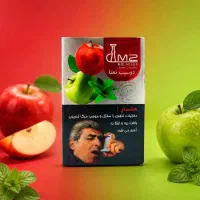 استخدام ویزیتور