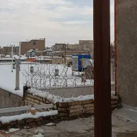 قوطی آهن و زنبوری