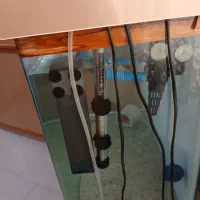 آکواریم شیشه خم 80 سانتی|ماهی|کرج, شهرک بنفشه|دیوار