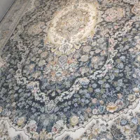 قیمت کارخانه|فرش|سنندج, |دیوار