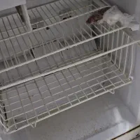 یخچال فروشی