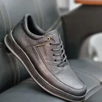 کوچی مردانه عمده