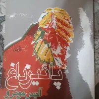 هشت کتاب رمان جذاب خارجی از نویسندگان معروف جهان|کتاب و مجله ادبی|دزفول, |دیوار