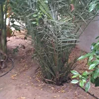 خانه ویلایی ۳۰۰ متری گزبلند