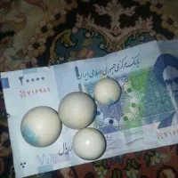 سنگ الماس آسیاب