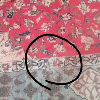 قالی ابریشمی|فرش|ایذه, |دیوار