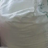 بذر یونجه طلای سبز