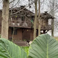 سرمایه گذاری متفاوت باطراحی شیک