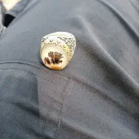 انگشتر شجر نمونه