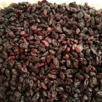 کشمش انگور قرمز آفتاب خورده و کاملا طبیعی