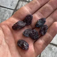 کشمش اصل تاکستان|خوردنی و آشامیدنی|تهران, بازار|دیوار