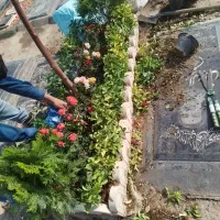 خدمات باغبانی سیار گل کاری سم پاشی تعویض خاک گلدان|خدمات باغبانی و درختکاری|تهران, شهرک غرب|دیوار