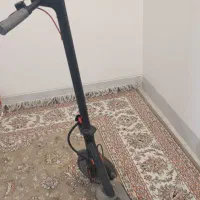 اسکوتر برقی|دوچرخه، اسکیت، اسکوتر|نی‌ریز, |دیوار